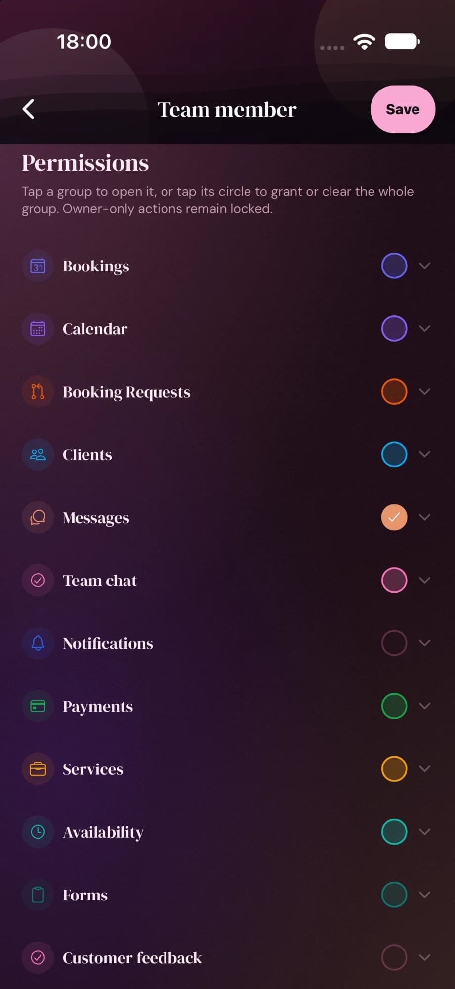 Cyntree permissions screen for a team member, listing groups such as Bookings, Calendar, Booking Requests, Clients and Messages, each with a circle to grant or clear the group.